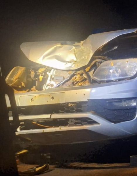 Cavalo morre após colisão com caminhonete na rodovia entre Cruz Alta e Benjamin Nott
