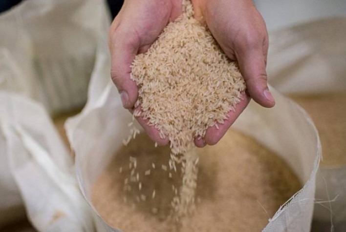 Irga prorroga até 31 de outubro o prazo de inscrição para o Selo Ambiental do Arroz