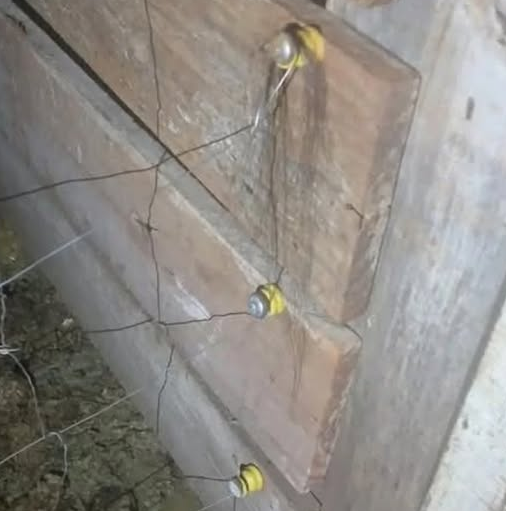 Menina de 10 anos morre após choque em cerca elétrica em propriedade rural de Mato Queimado