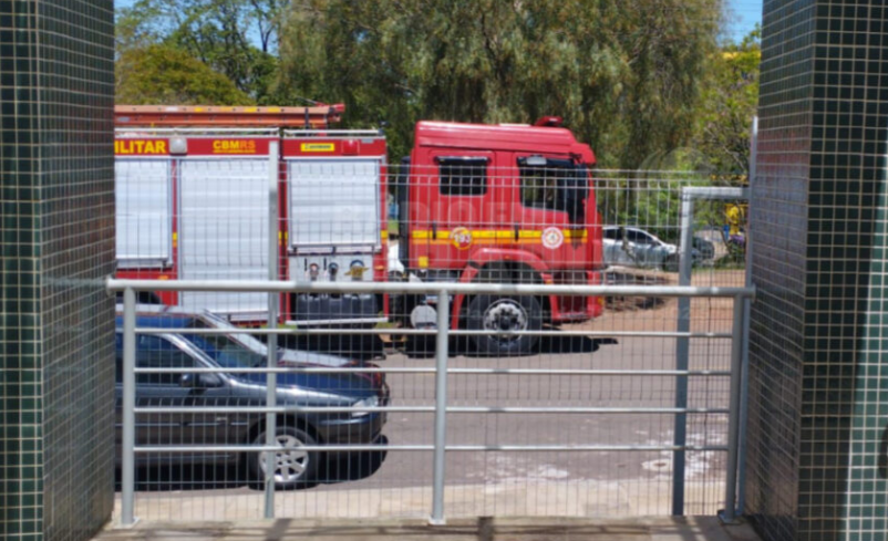Ataque de abelhas atinge 14 alunos na Escola Municipal Cohab Secchi, em Passo Fundo