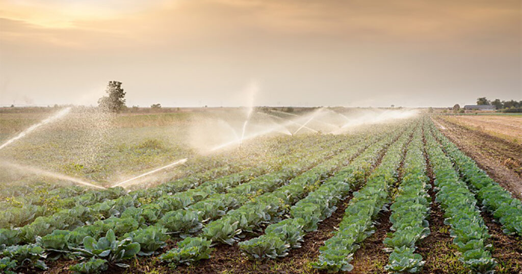 RS avança em plano de desenvolvimento sustentável com redução de emissões e investimentos em transição energética