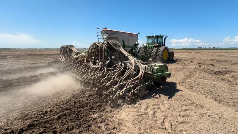 Semeadura do arroz no RS ultrapassa 90% da área prevista e entra na fase final, aponta Emater/RS-Ascar