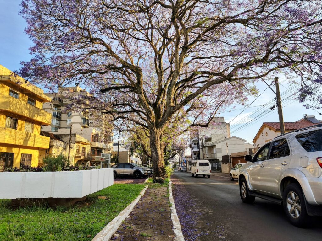 Sol predomina no Rio Grande do Sul nesta quarta-feira, 19, com variações de nuvens e chance de chuva isolada na Metade Norte
