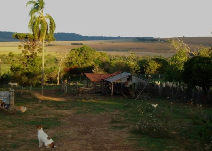 Lula assina decretos para desapropriação de áreas quilombolas em 14 estados, incluindo dois territórios no Rio Grande do Sul