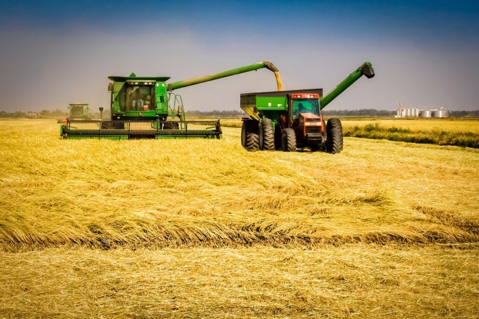 Semeadura do arroz irrigado entra na reta final no RS, com avanço desigual entre regiões e preço da saca em queda