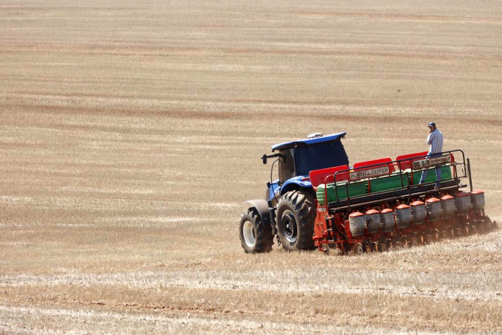 Semeadura da soja atinge 96% da área no Rio Grande do Sul e lavouras seguem em bom desenvolvimento