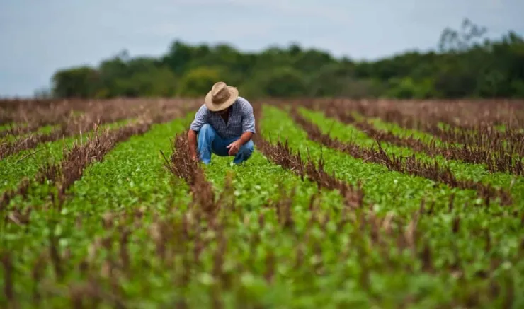 Programa destina R$ 12 milhões para incentivar permanência de jovens na agricultura familiar no RS
