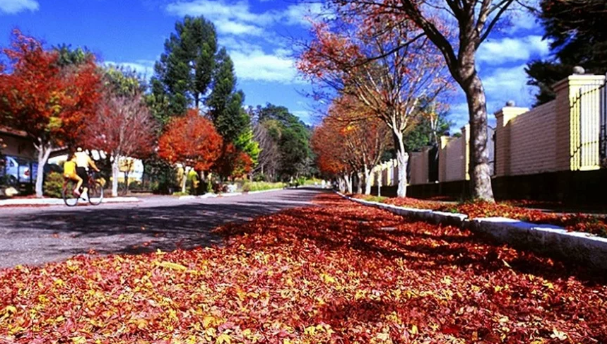 Outono começa nesta sexta-feira com menos chuva no Brasil, mas previsão indica aumento das precipitações no Rio Grande do Sul