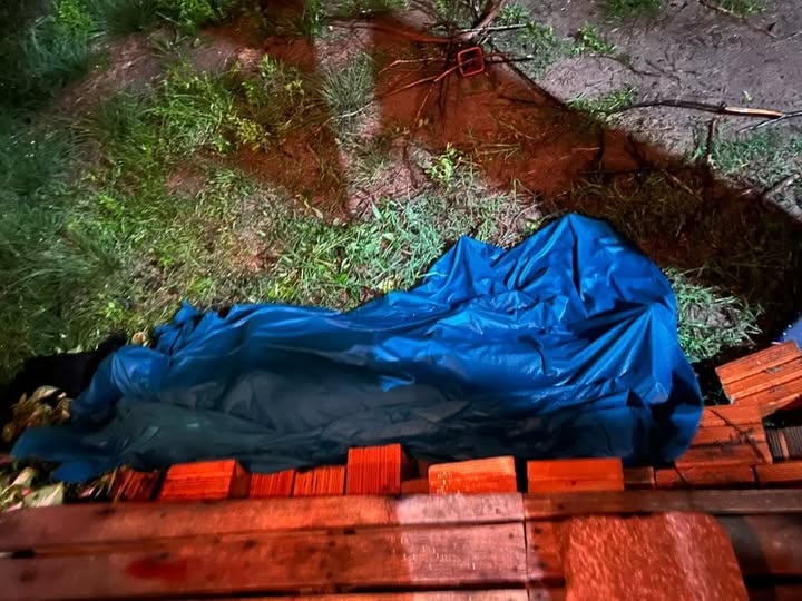 Homem é preso por matar a mãe em Viamão; caso é o 24º feminicídio no RS em 2026