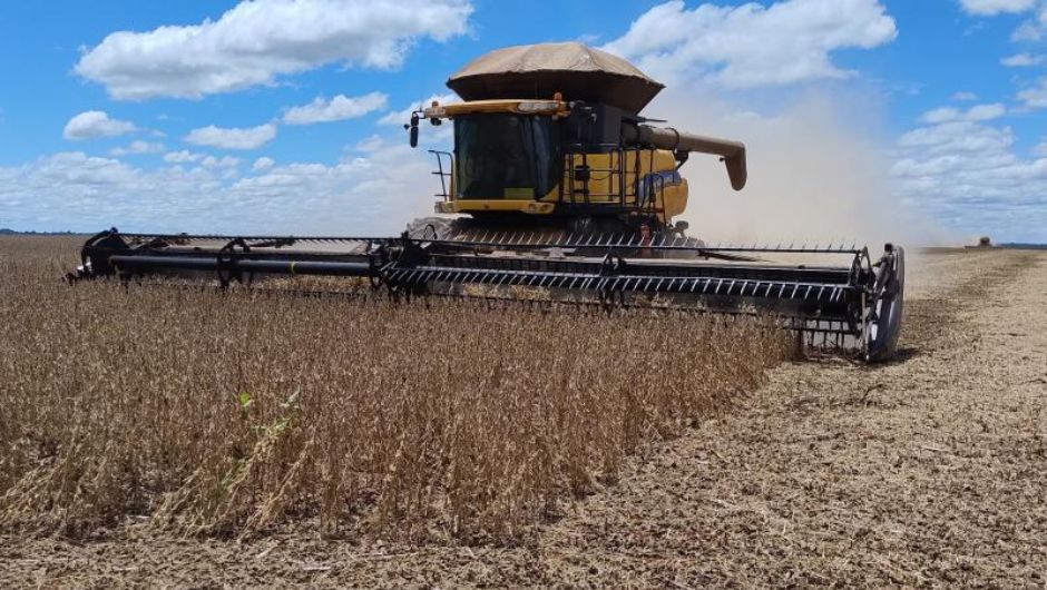 Colheita da soja atinge 10% no RS e avança com impacto das chuvas; milho chega a 73% da área colhida