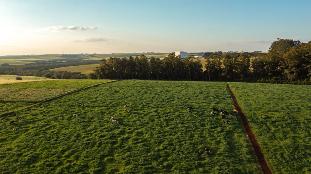 CCGL distribui R$ 195 milhões em ICMS e reforça arrecadação de municípios com produção de leite ligada a Cruz Alta