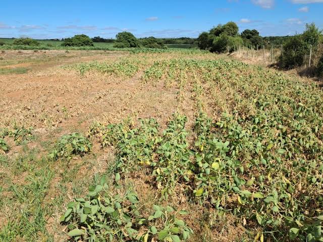 Alta do diesel deve gerar impacto de R$ 612 milhões no agro do RS e pressionar preços de alimentos, aponta Farsul