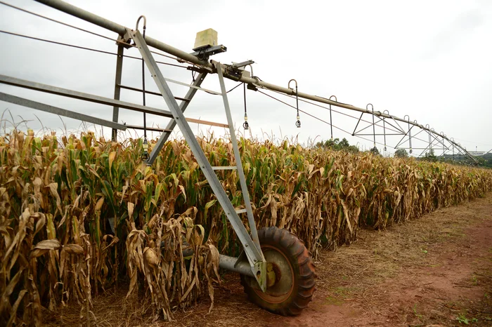 Cruz Alta sediará encontro internacional para debater irrigação e desafios enfrentados pelo agro gaúcho