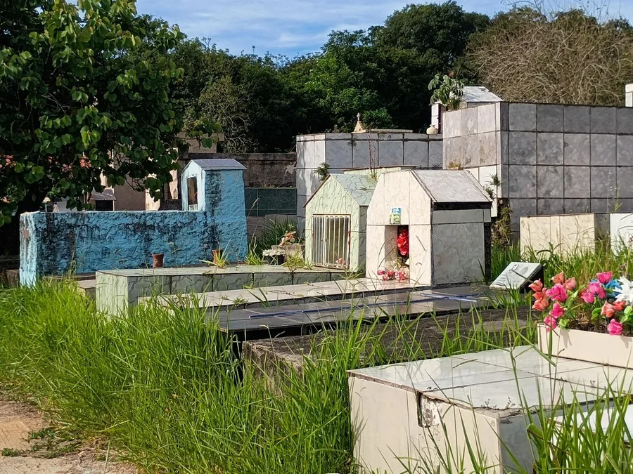Moradores denunciam abandono, vandalismo e violação de túmulos em cemitérios de Sapucaia do Sul