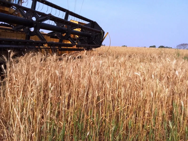 Confirmação do El Niño para 2026 acende alerta no campo e preocupa produtores do Sul do Brasil