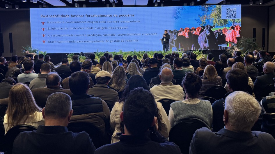 RS avança na rastreabilidade individual de bovinos e mira maior competitividade da pecuária