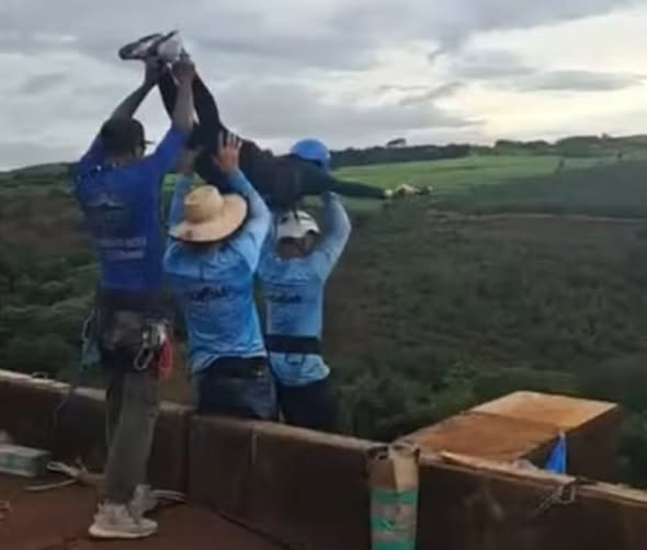 Instrutores presos por morte de jovem em salto de rope jump são transferidos de presídio em São Paulo
