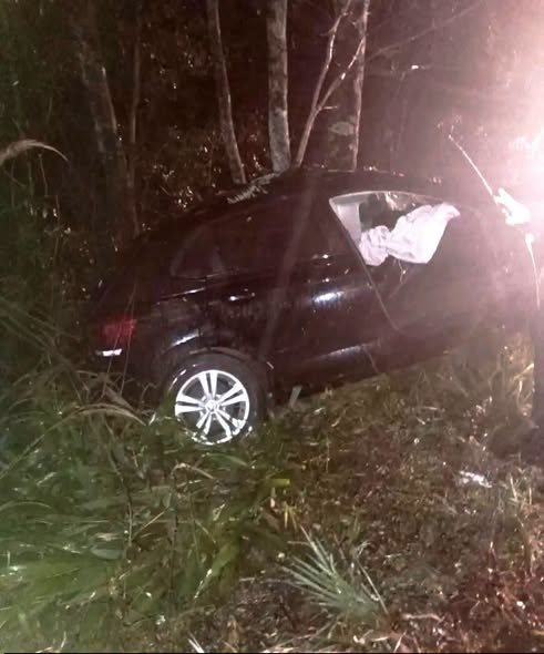 Jovem de 20 anos morre após carro sair da pista e atingir árvores na ERS-569, em Palmeira das Missões