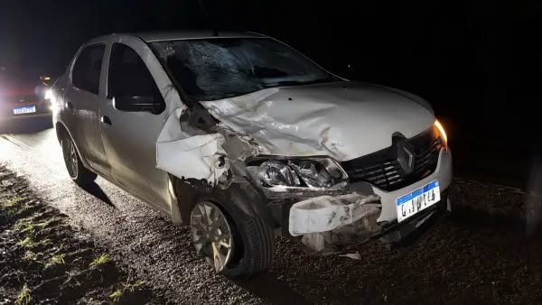 Colisão entre carro e cavalo na BR-158 reacende alerta para recorrência de acidentes em Cruz Alta