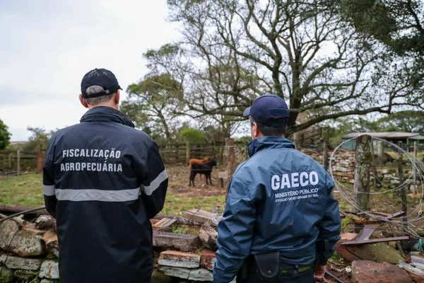 Operação Boi Fantasma desarticula esquema de lavagem de mais de R$ 100 milhões ligado ao tráfico de drogas no RS
