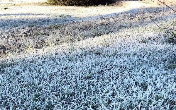 Geada, mínima de -1°C e sol marcam a terça-feira em Cruz Alta