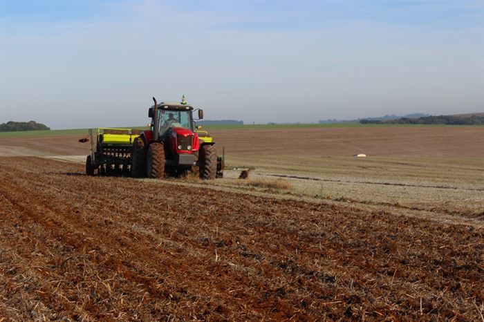 Plantio do trigo alcança 87% da área prevista no Rio Grande do Sul, mas excesso de umidade ainda atrasa semeadura