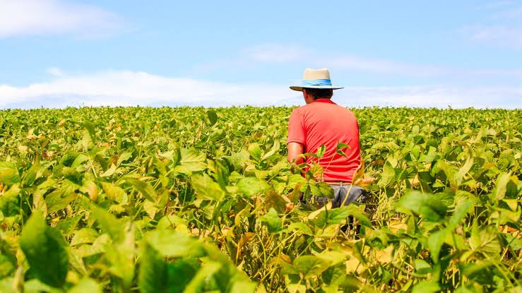 Câmara e governo fecham acordo para renegociação das dívidas do agro após impasse no Congresso