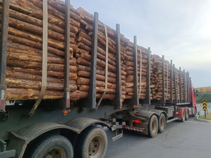 Caminhão com mais de 18 toneladas de excesso de carga é retido na ERS-122 em Farroupilha