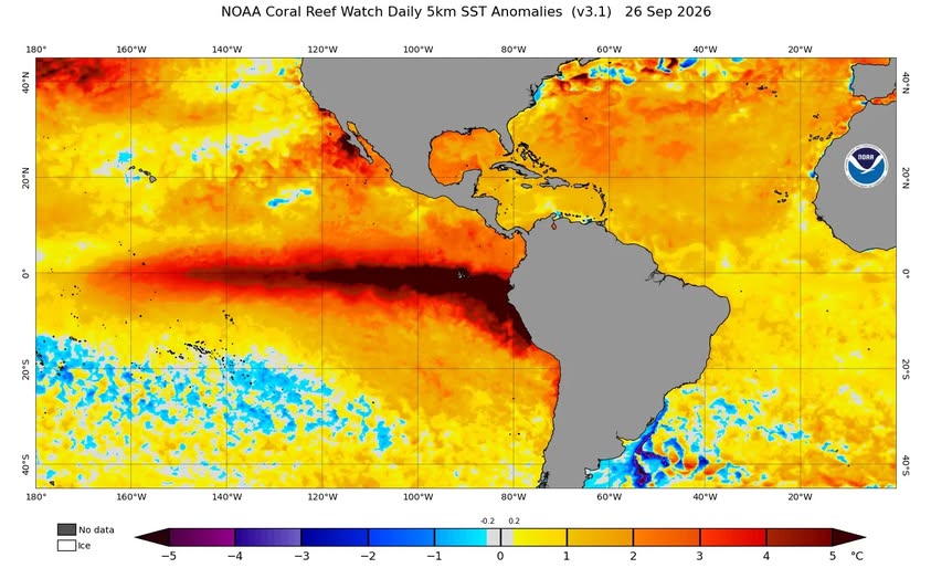 El Niño ganha força no Pacífico e NOAA aponta possibilidade de evento muito intenso entre 2026 e 2027