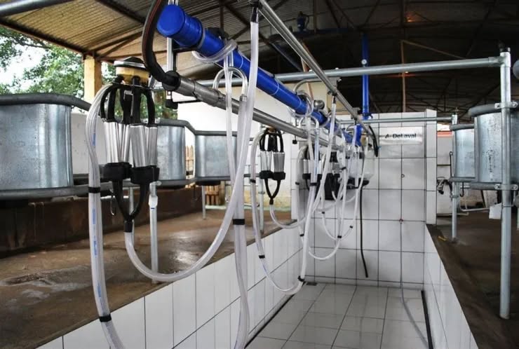 Gadolando alerta para aumento dos custos de produção e possível queda no preço do leite no RS