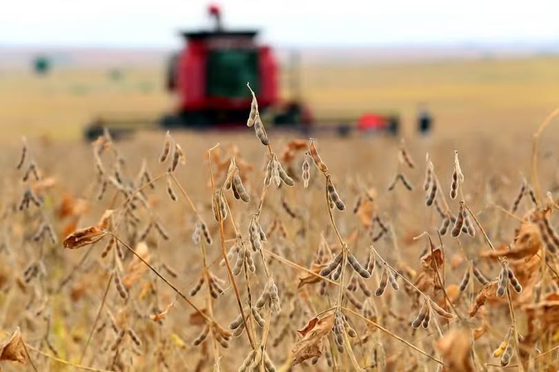 Baixa produtividade da soja pode deixar R$ 14 bilhões fora da economia do Rio Grande do Sul