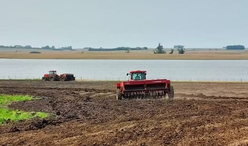 Tradings retomam compra de arroz para exportação a R$ 90 por saca no Rio Grande do Sul