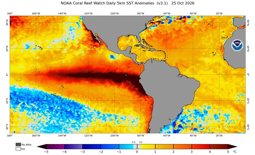 El Niño atinge +3,4°C no Pacífico e pode se tornar ainda mais intenso até o fim de 2026